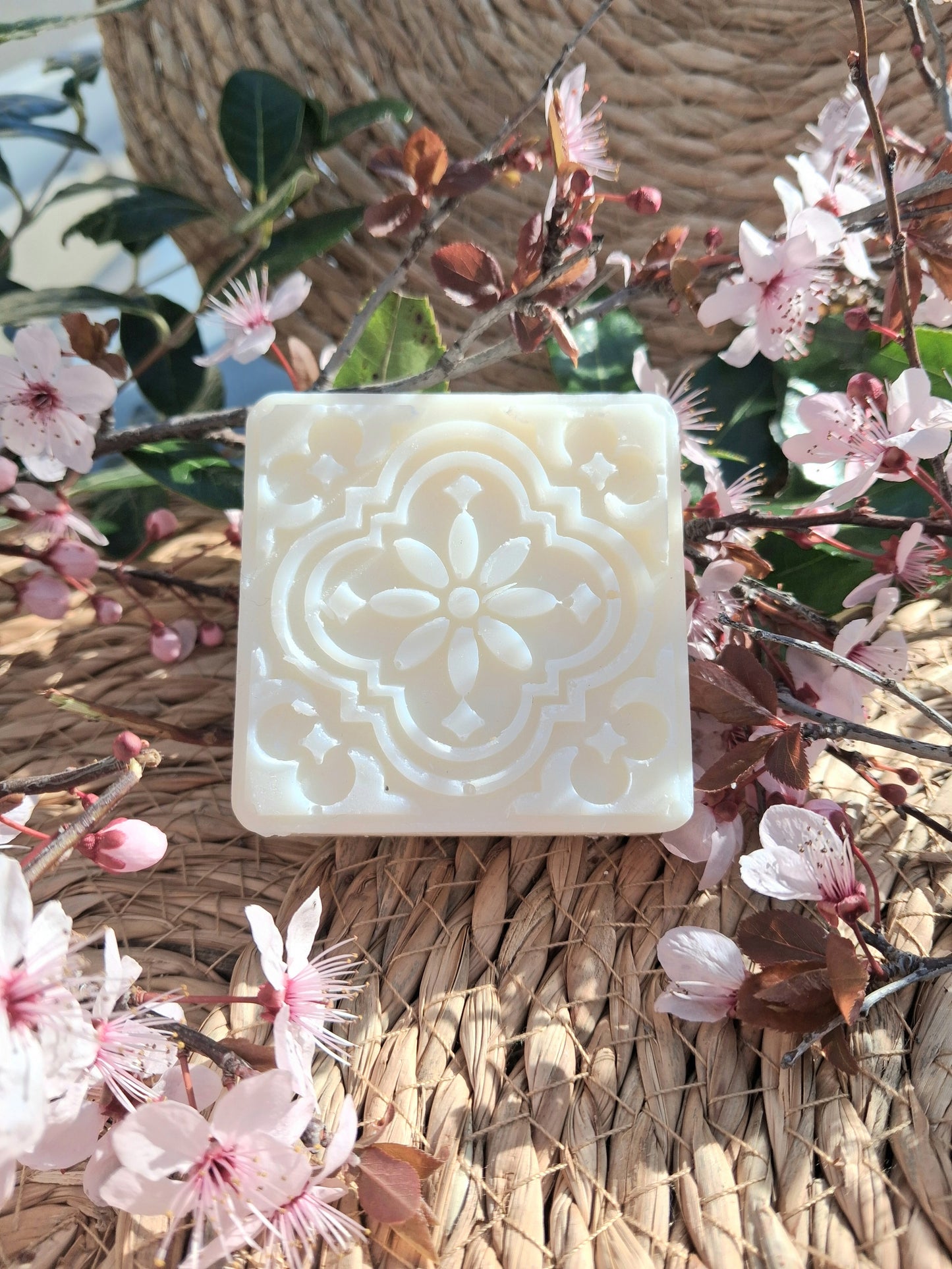 Savon au cèdre et eucalyptus